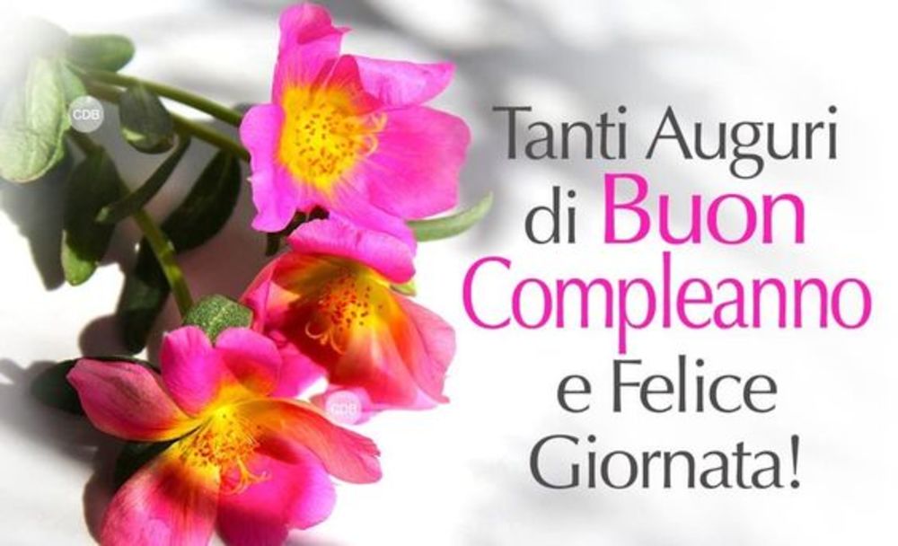 Tanti Auguri di Buon Compleanno e Felice Giornata!