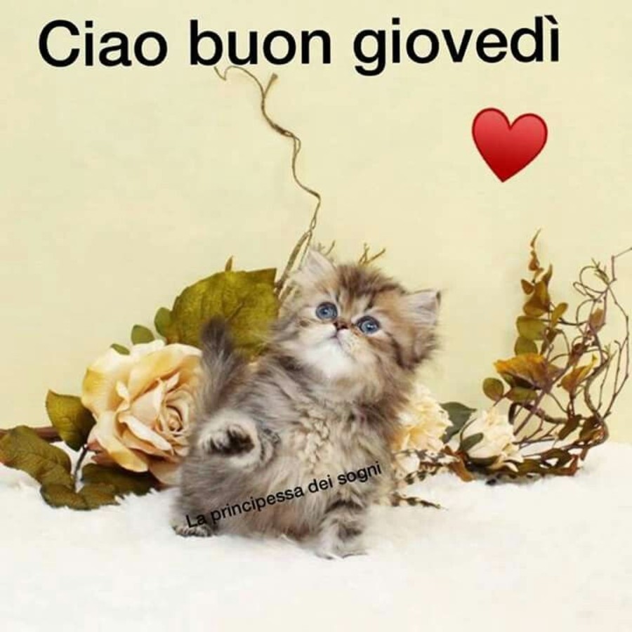 Ciao Buon Giovedì <3