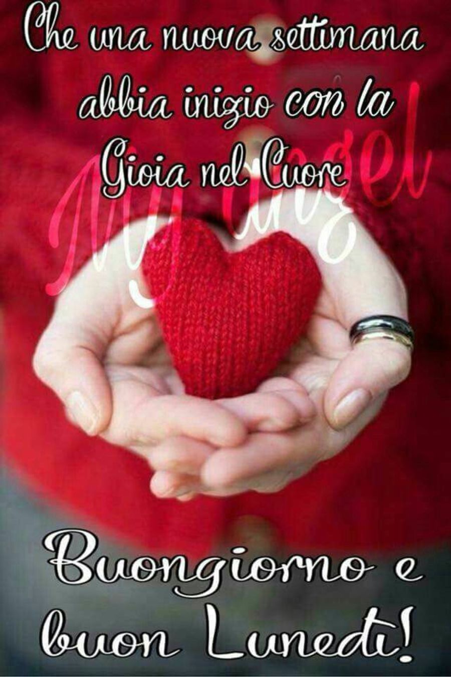 "Che una nuova settimana abbia inizio con la gioia nel cuore..."