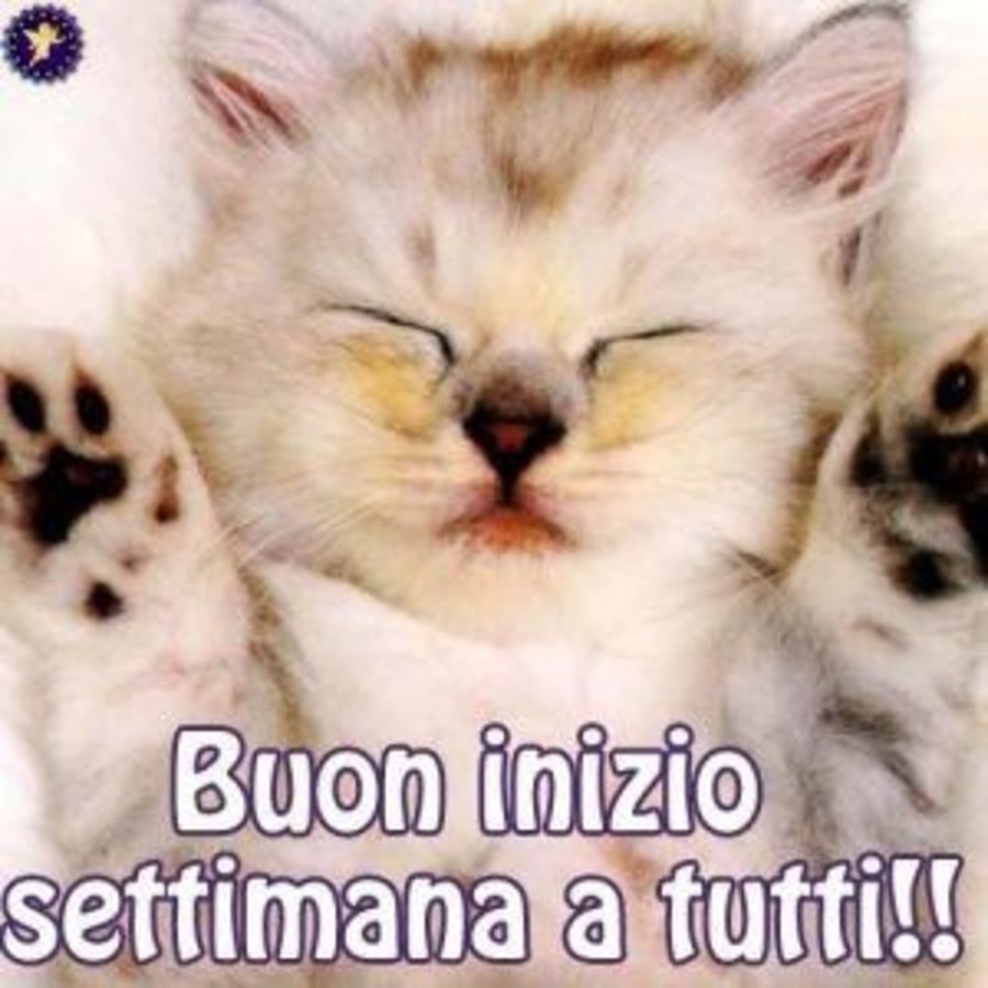 Buon inizio settimana a tutti !!