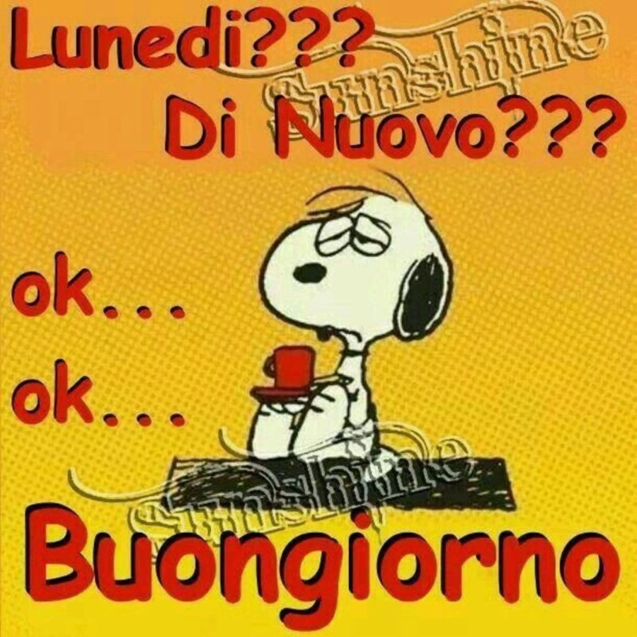 Lunedì??? Di nuovo ??? ok... ok... Buongiorno (Snoopy)