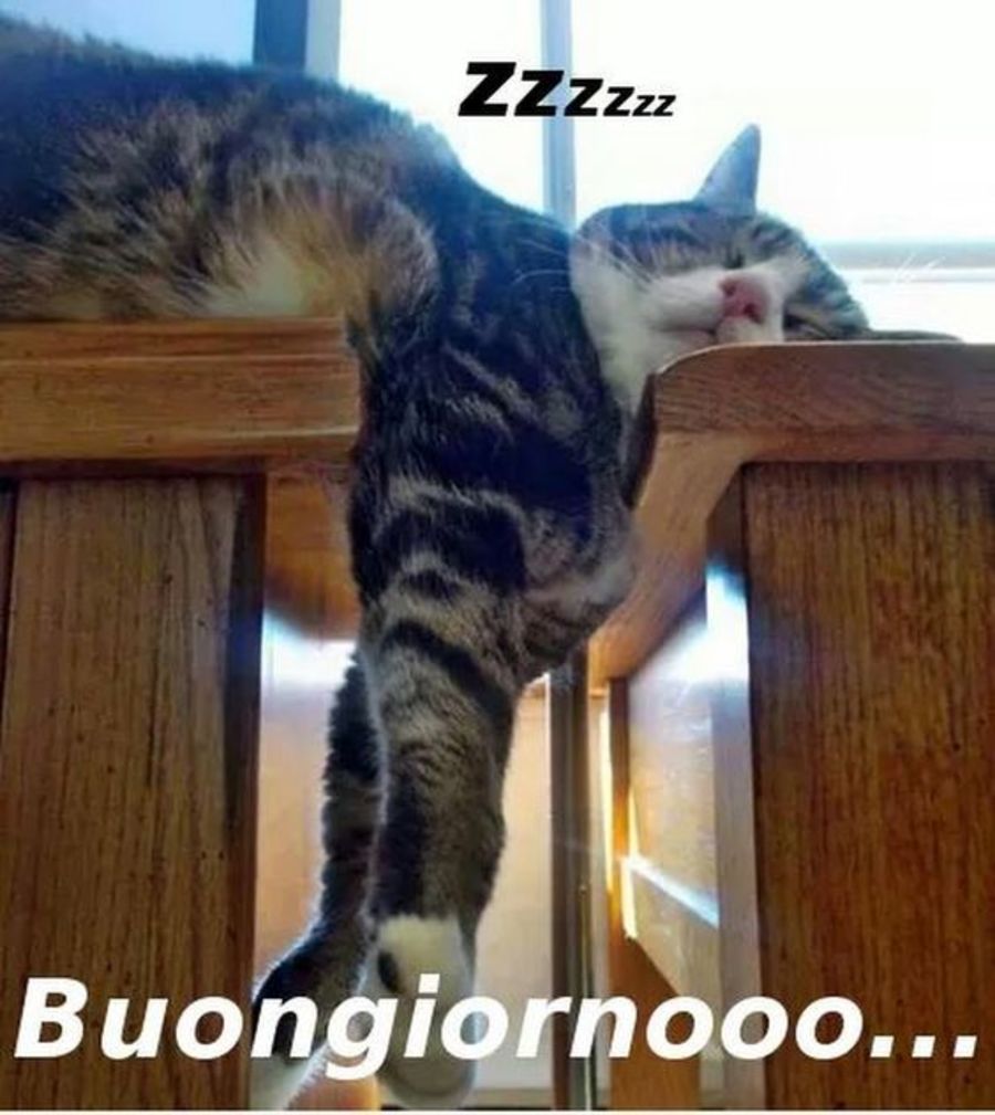 Zzzz Buongiorno.....