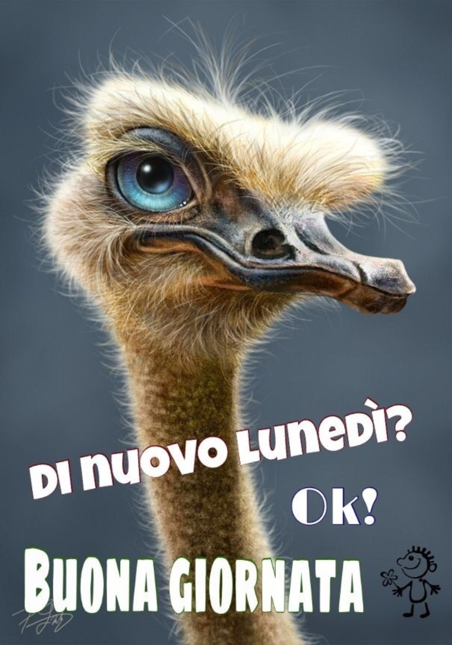 Di nuovo Lunedì? OK. Buona Giornata