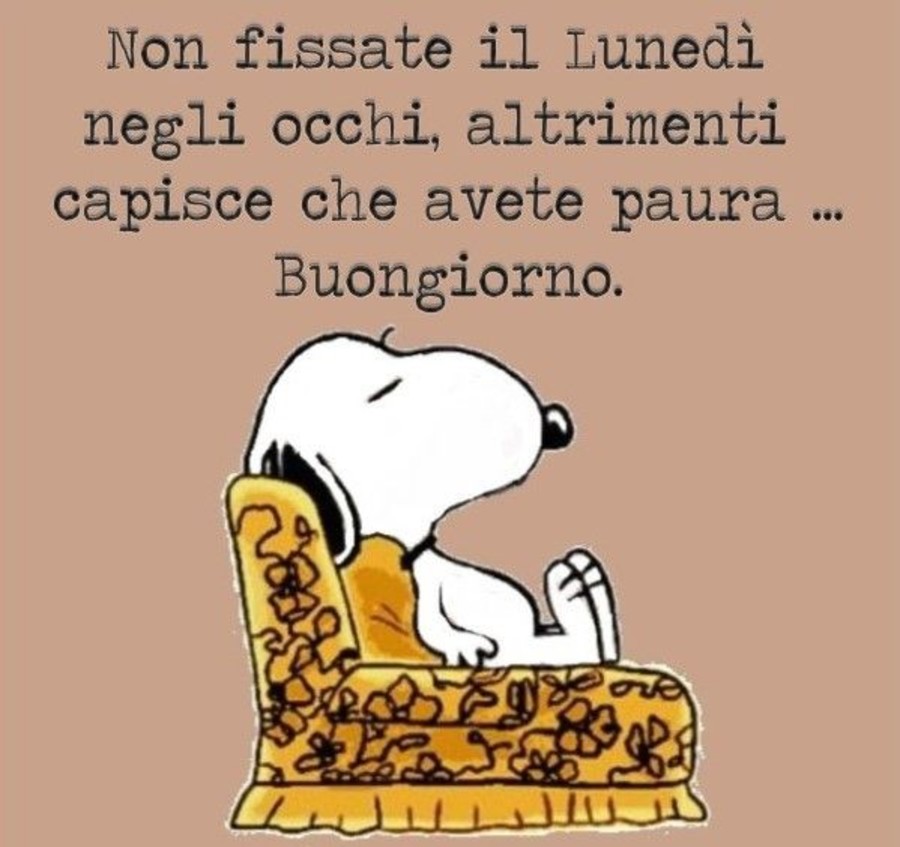 Non fissate il Lunedì negli occhi, altrimenti capisce che avete paura. (immagini con Snoopy)