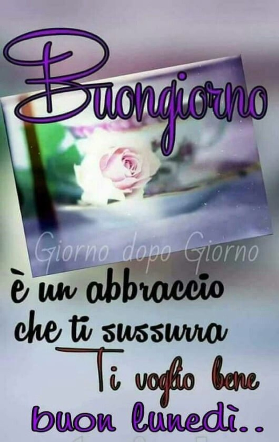 Buongiorno... è un abbraccio che ti sussurra ti voglio bene... Buon Lunedì (Giorno dopo Giorno)