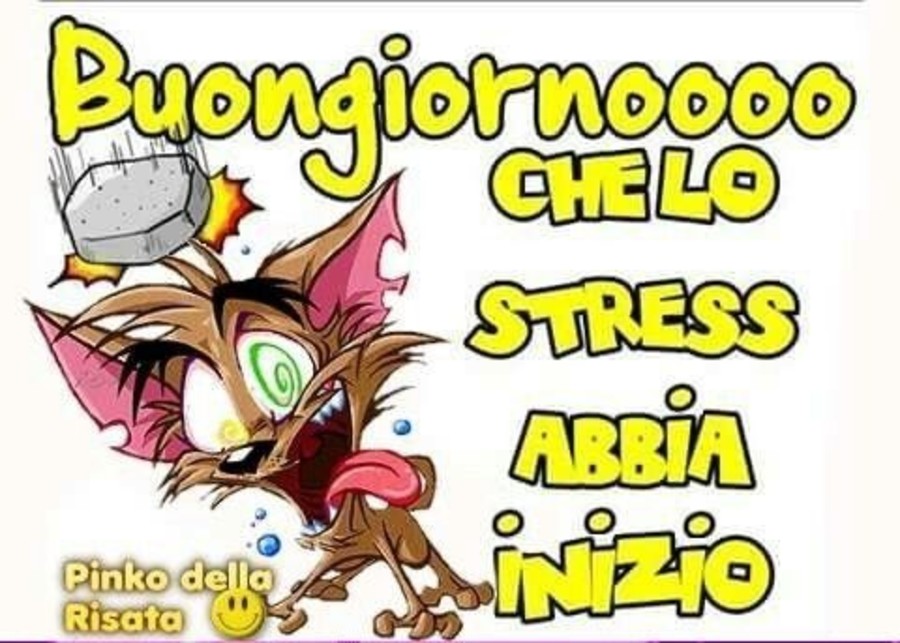 Buongiornoooo che lo stress abbia inizio!