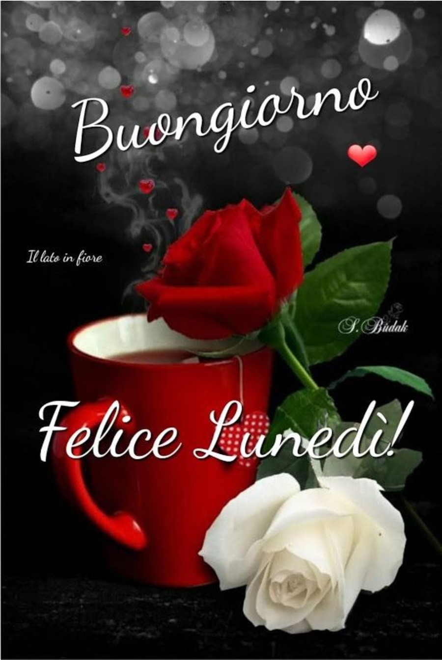 Buongiorno Felice Lunedì