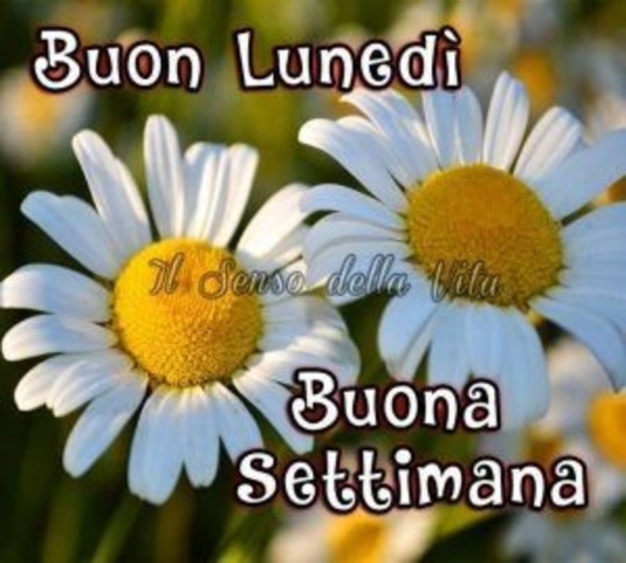 Buon Lunedì, Buona Settimana