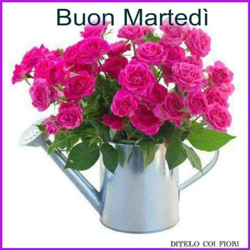 Buon Martedi Da Mandare Agli Amici Pagina 4 Di 11 Buongiorno Cloud