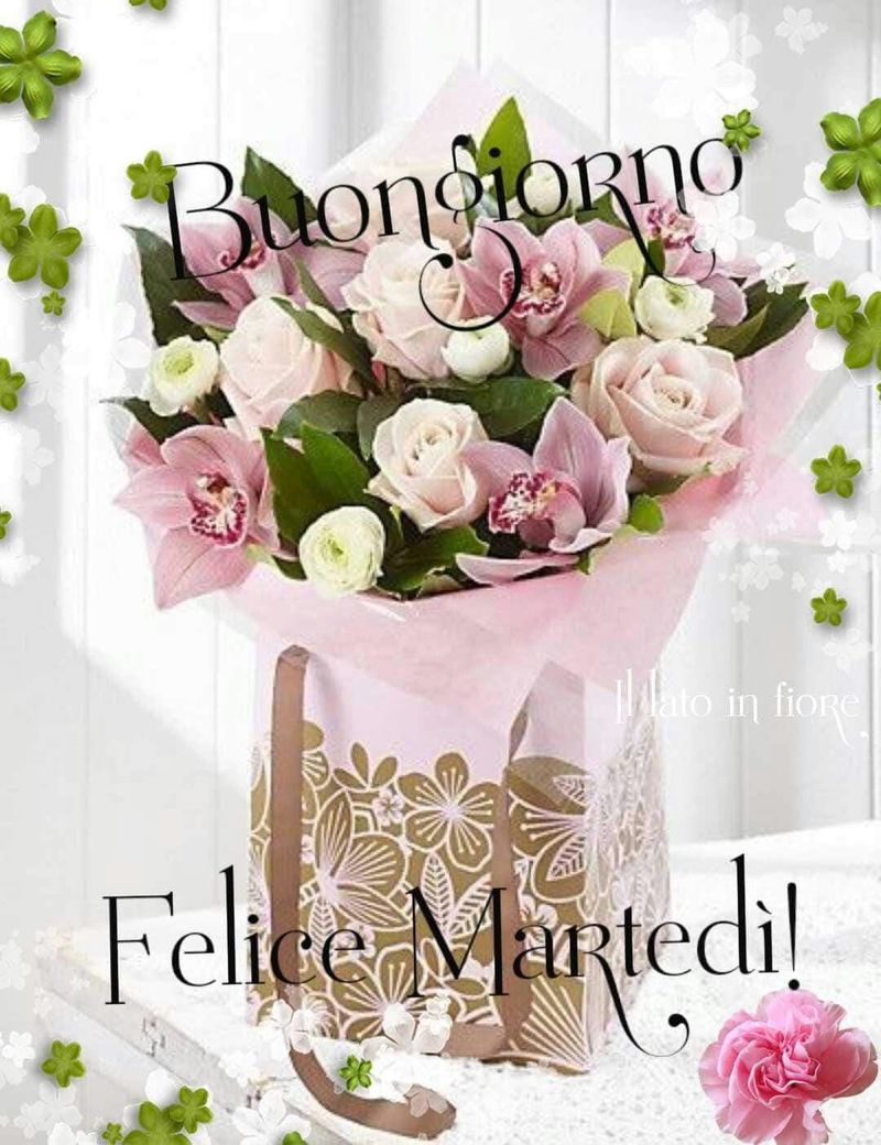 Buongiorno, Felice Martedì!