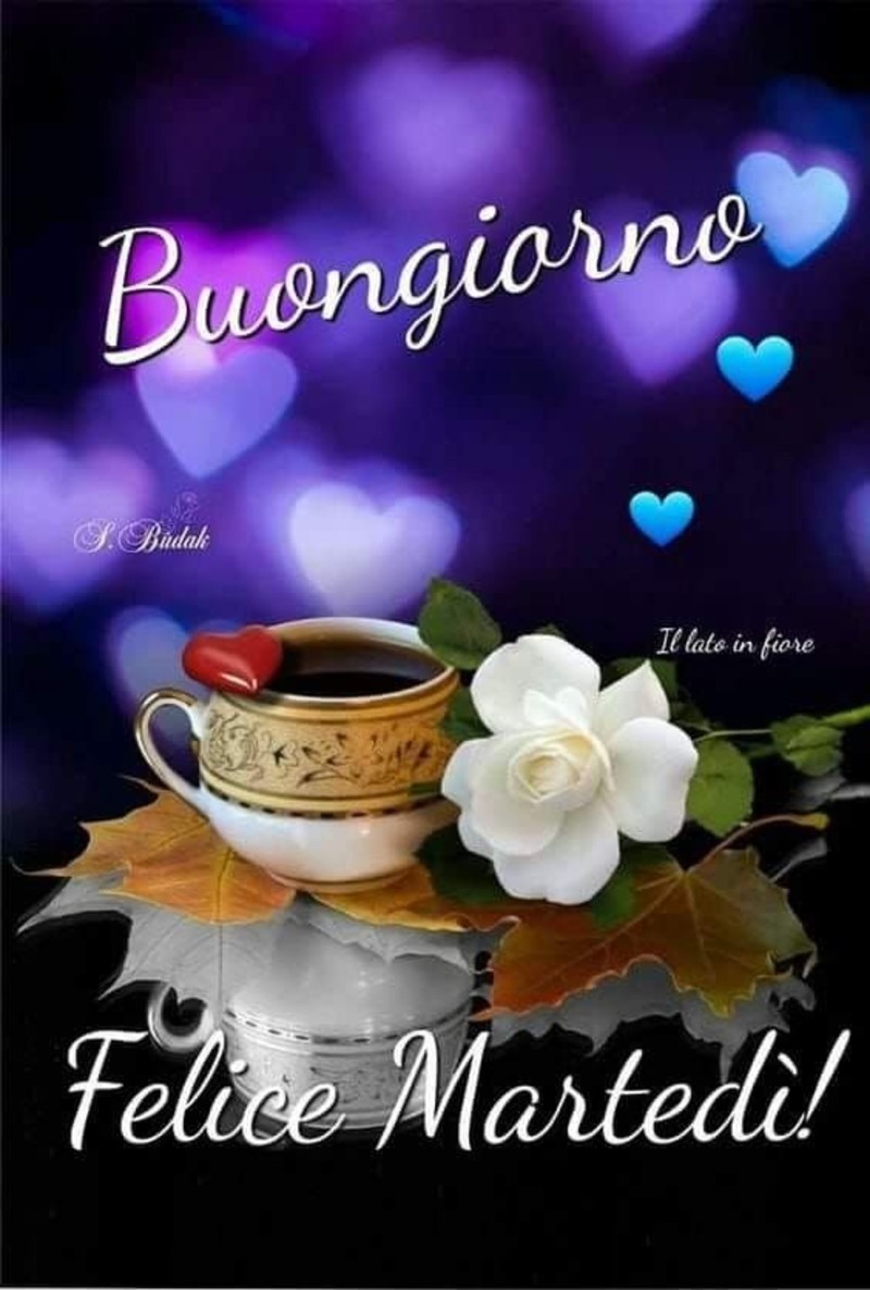 Buongiorno, Felice Martedì