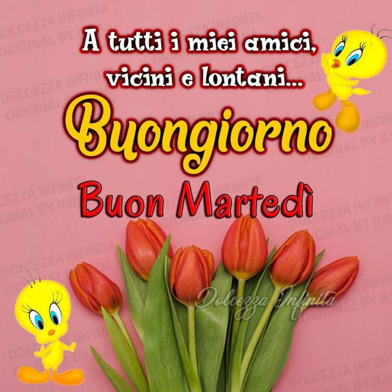 A tutti i miei amici vicini e lontani... buongiorno e Buon Martedì