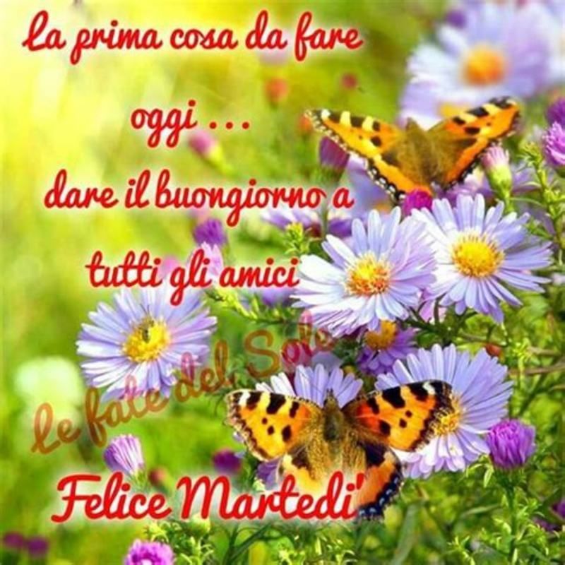 La prima cosa da fare oggi... dare il buongiorno a tutti gli amici, Felice Martedì!