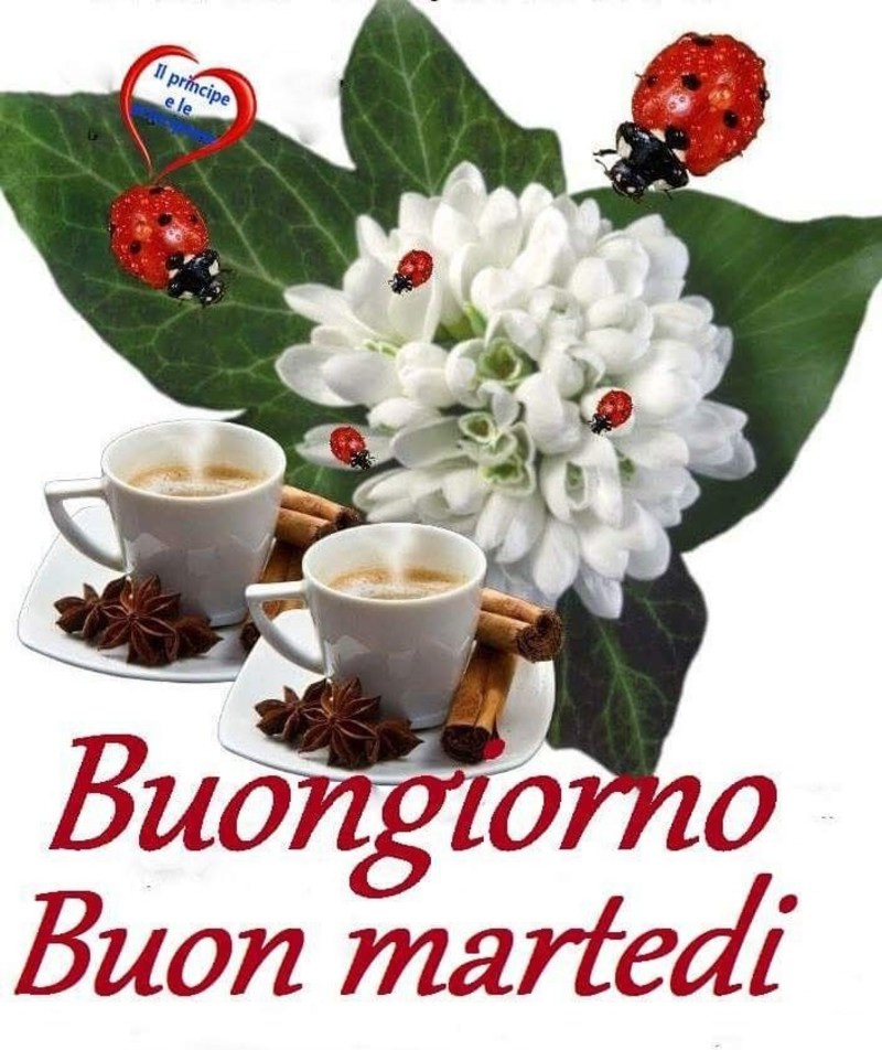 Buongiorno Buon Martedì caffè