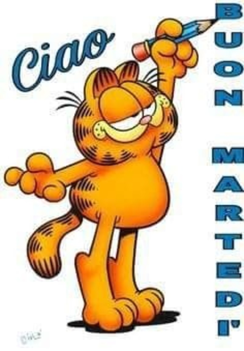 Ciao Buon Martedì da Garfield