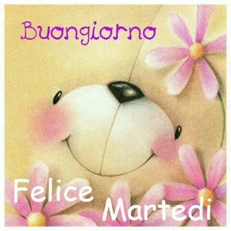 Buongiorno felice martedì