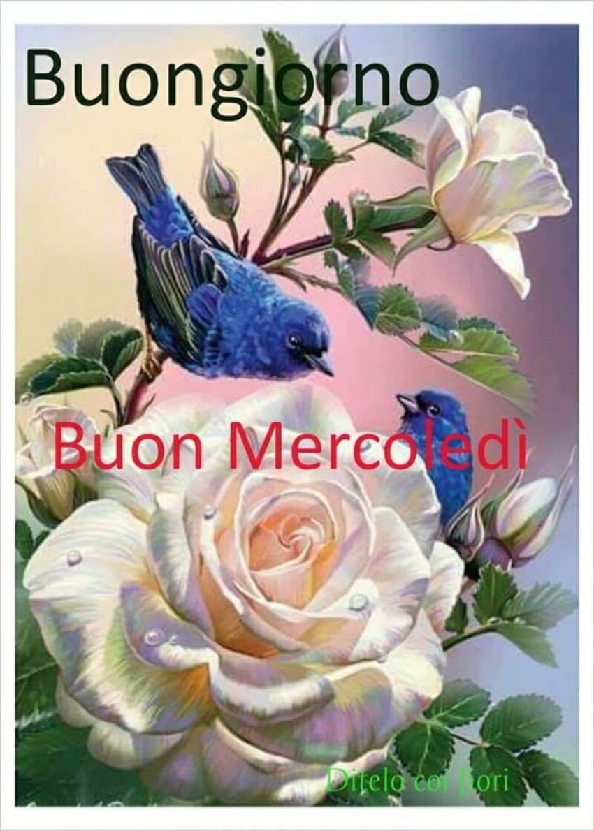 Buon Mercoledi Immagini Bellissime Pagina 3 Di 11 Buongiorno Cloud