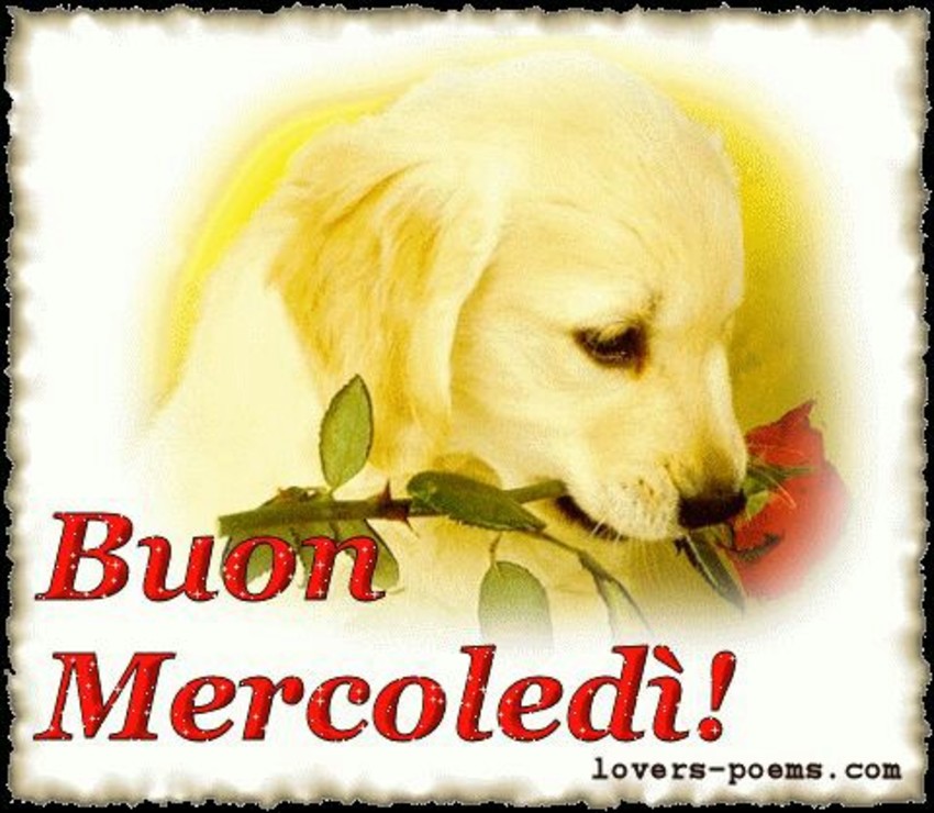 Buon Mercoledì!