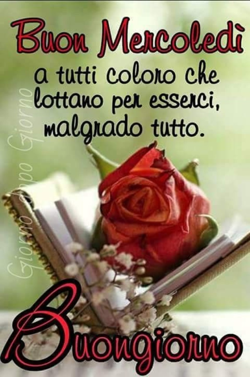 Buon Mercoledì a tutti coloro che lottano per esserci, malgrado tutto. Buongiorno (giorno dopo giorno)