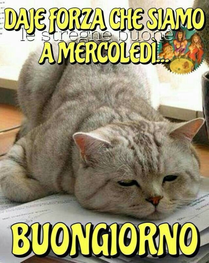 Daje forza che siamo a mercoledì, Buongiorno