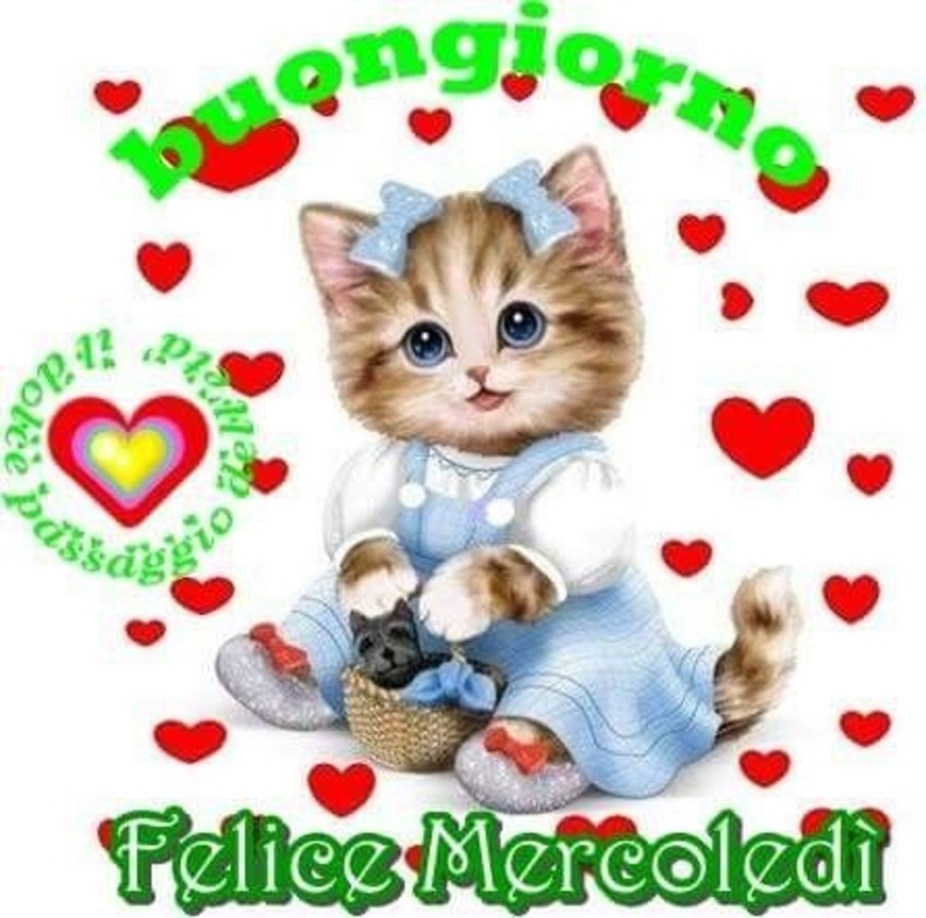 Buongiorno Felice Mercoledì