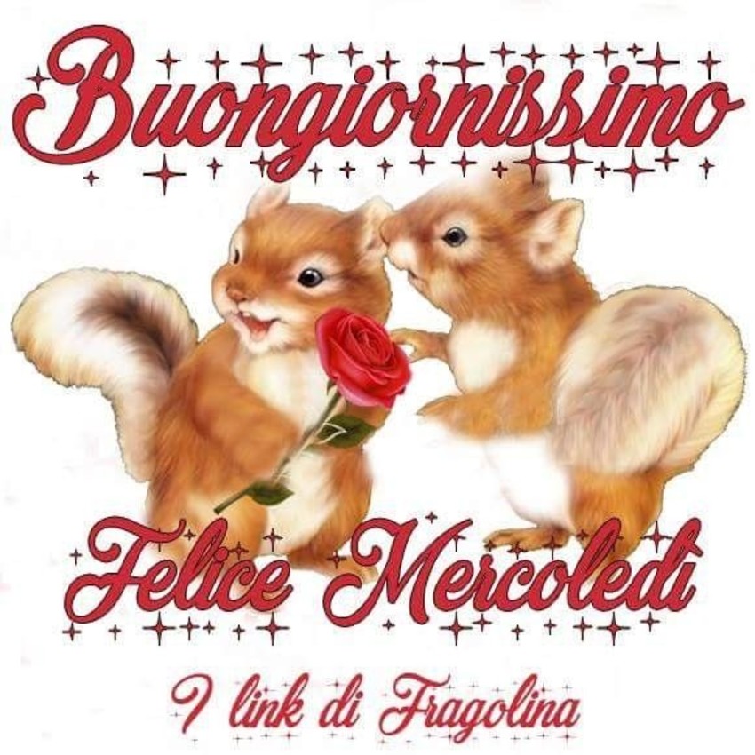 Buongiornissimo felice mercoledì