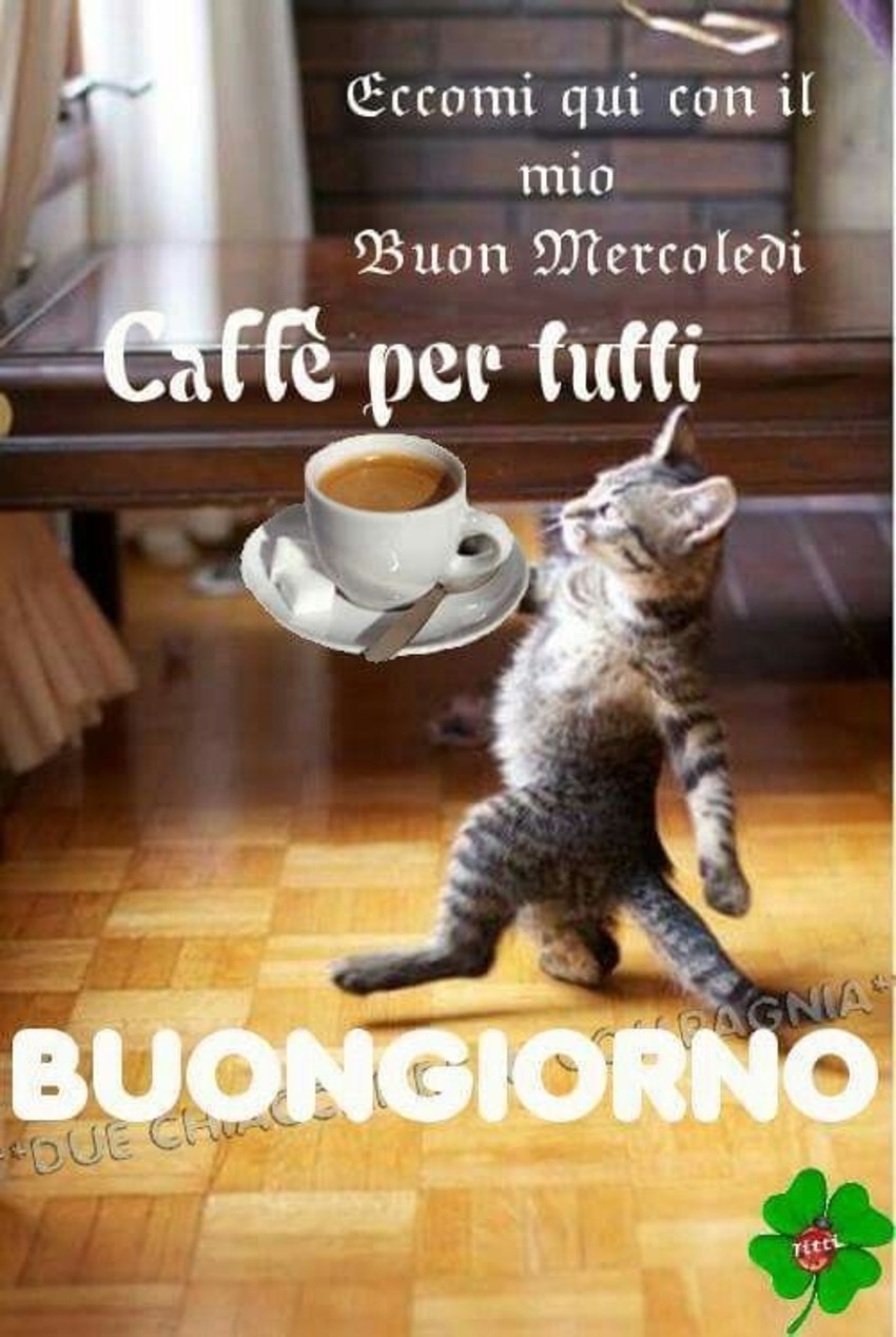 Eccomi qui per il mio Buon Mercoledì, caffè per tutti, buongiorno (immagini da ridere)