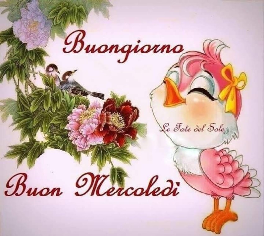 Buongiorno Buon Mercoledì con gli animali