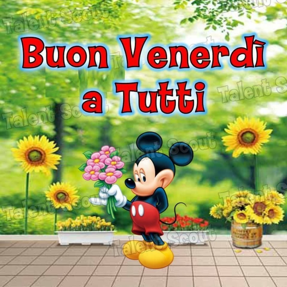 Buon Venerdì a tutti !