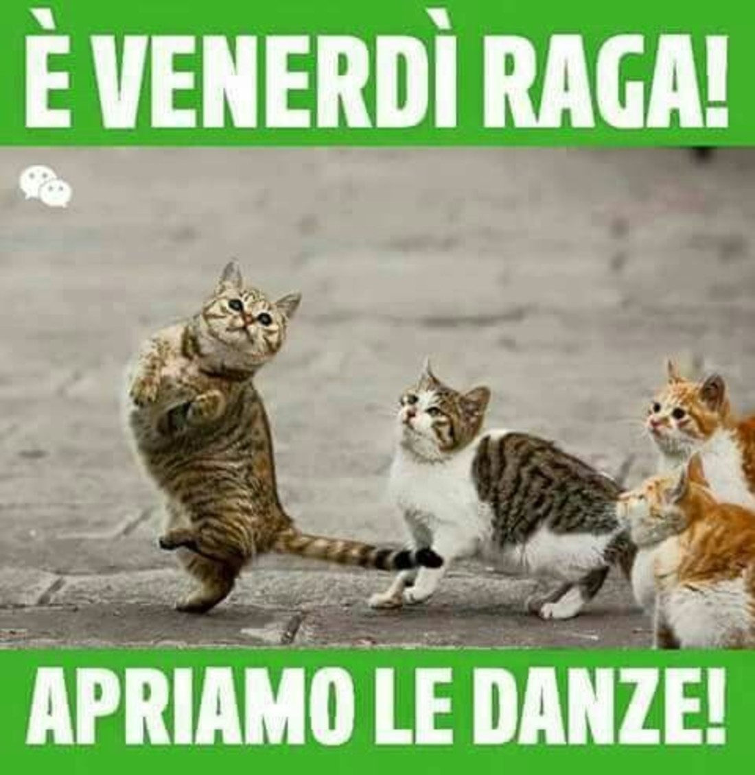 Buon Venerdì immagini da ridere