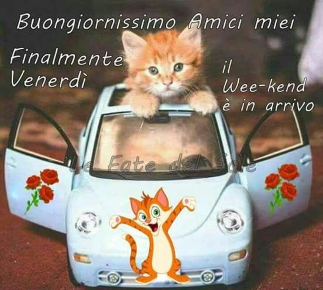 Buongiornissimo amici miei, finalmente è Venerdì, il Weekend è in arrivo