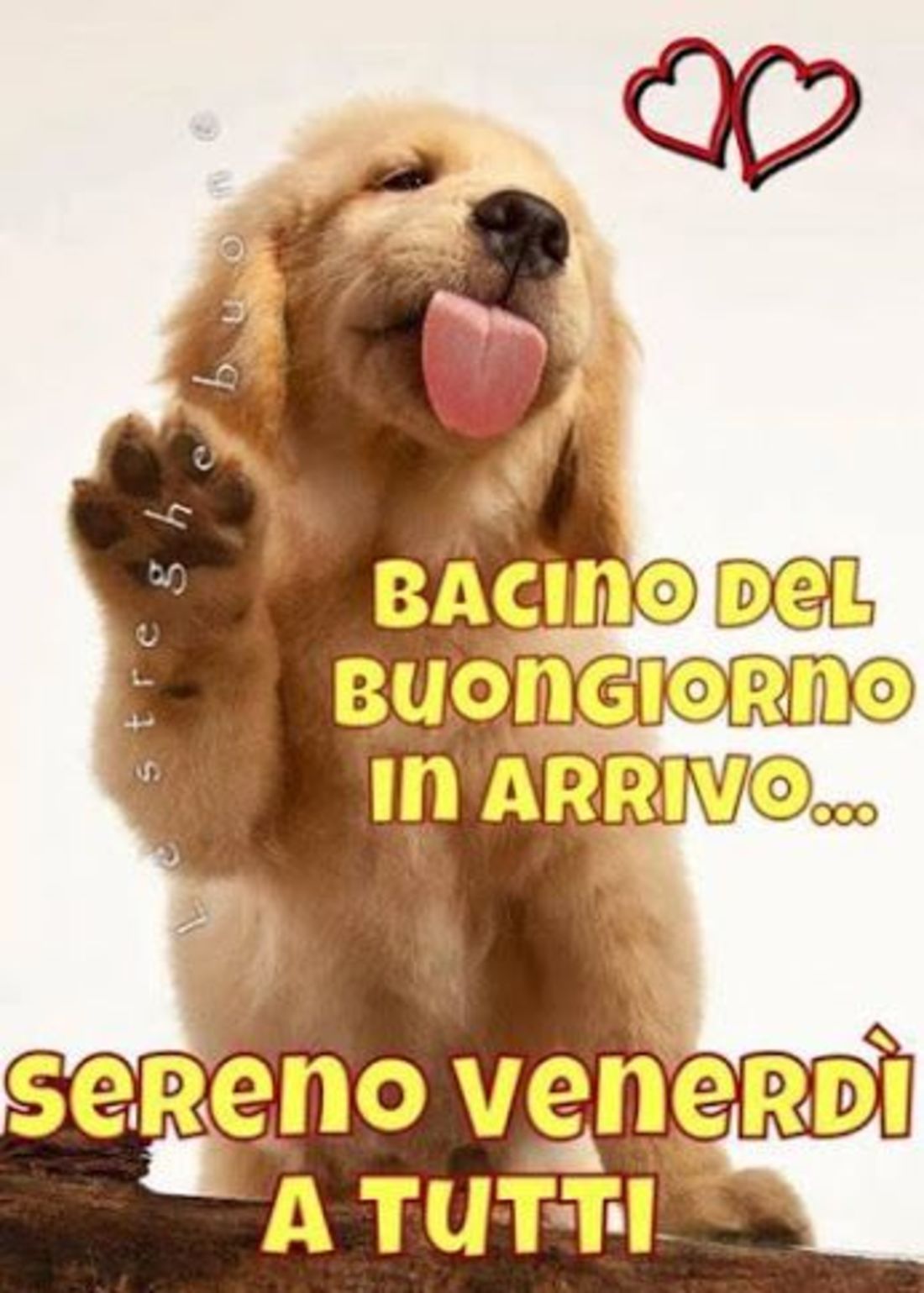 Bacino del buongiorno in arrivo... Sereno Venerdì a tutti !