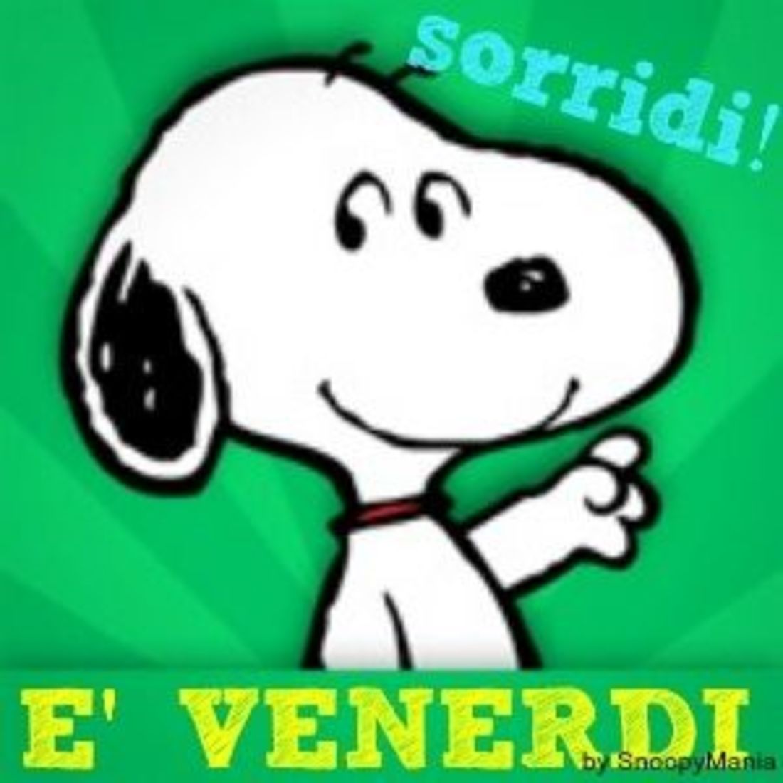 Sorridi! E' Venerdì! (Snoopy)