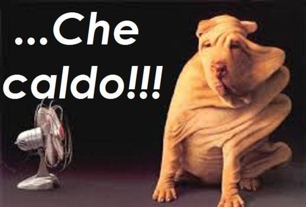 ... che caldo !!!