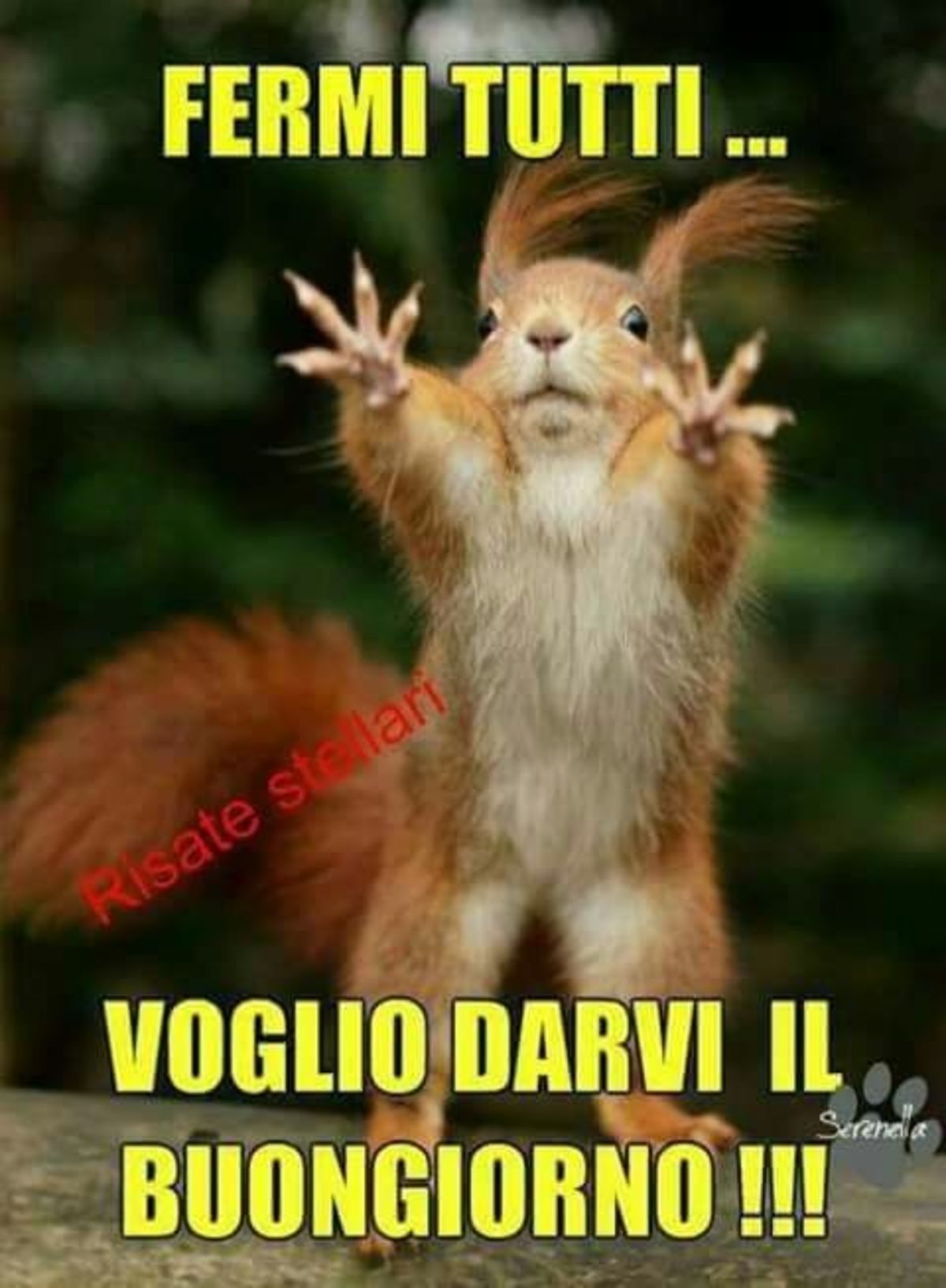 Fermi tutti... Voglio darvi il Buongiorno !!!