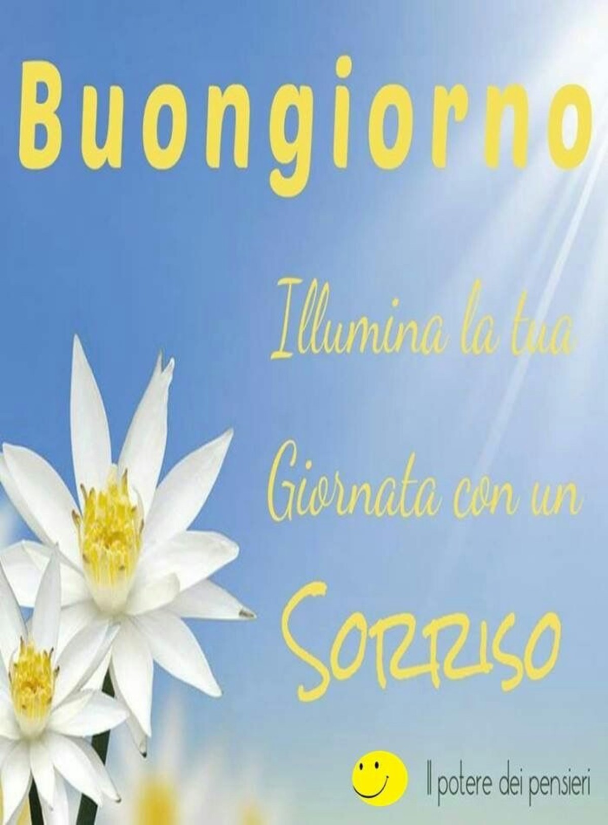 Buongiorno, illumina la tua giornata con un sorriso.