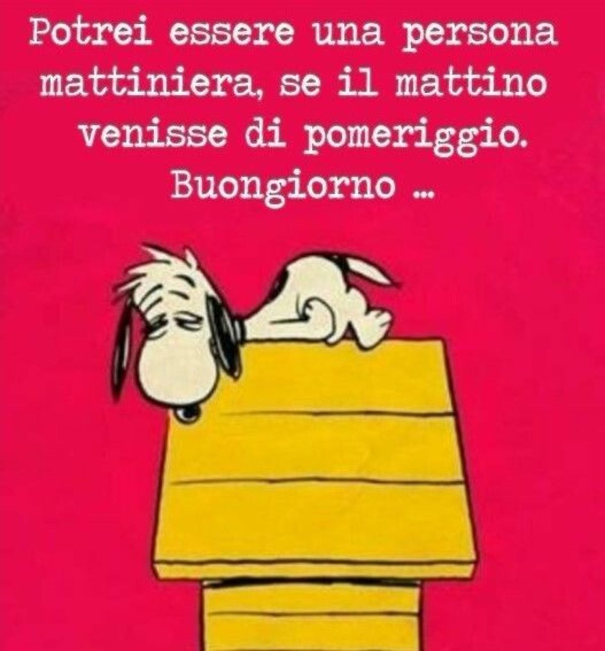 Potrei essere una persona mattiniera, se il mattino venisse di pomeriggio... (Snoopy vignette divertenti)