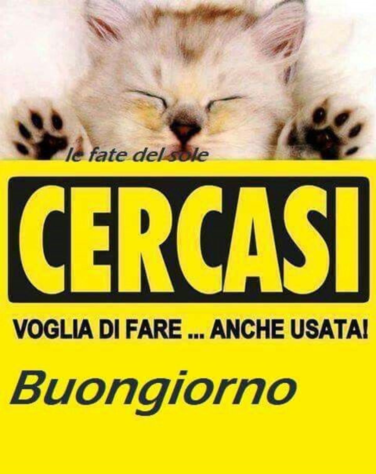 Cercasi voglia di fare... anche usata! Buongiorno