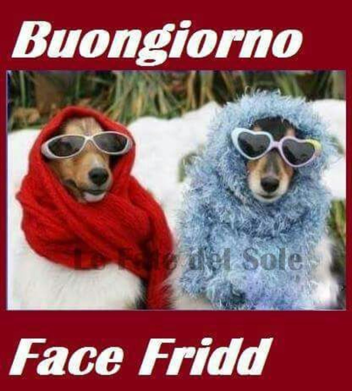 Buongiorno, Face Fridd