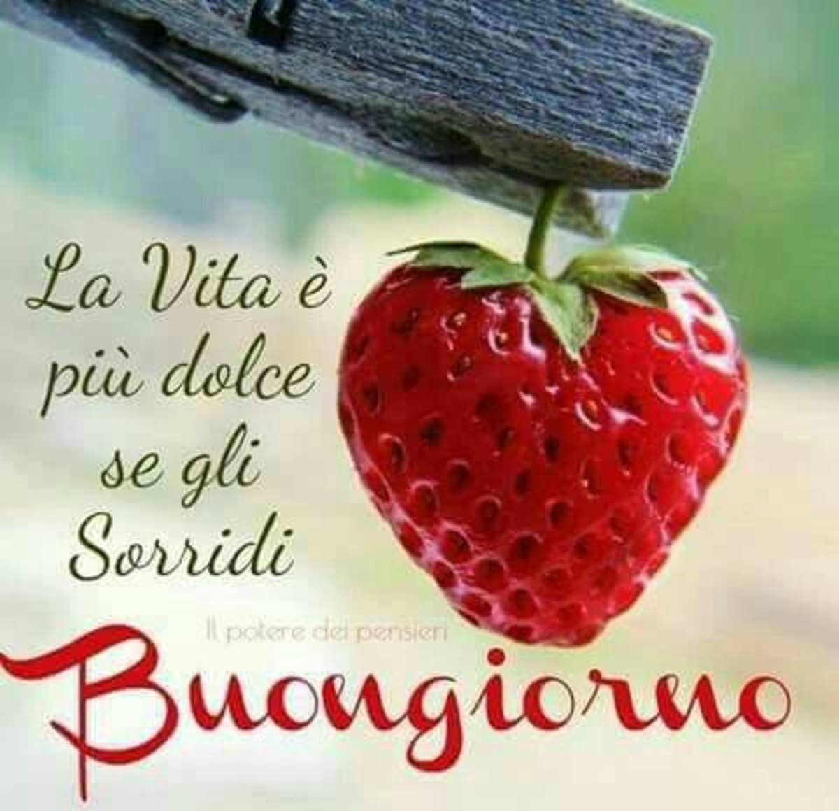 La vita è più dolce se gli sorridi. Buongiorno