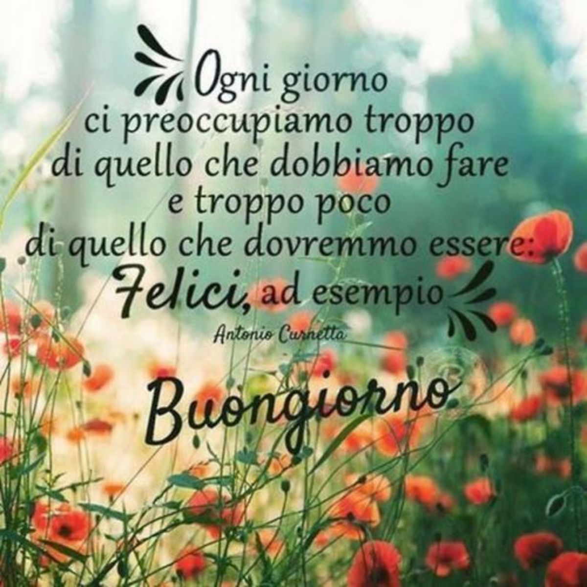 Ogni giorno ci preoccupiamo troppo di quello che dobbiamo fare e troppo poco di quello che dovremmo essere: FELICI per esempio! Buongiorno