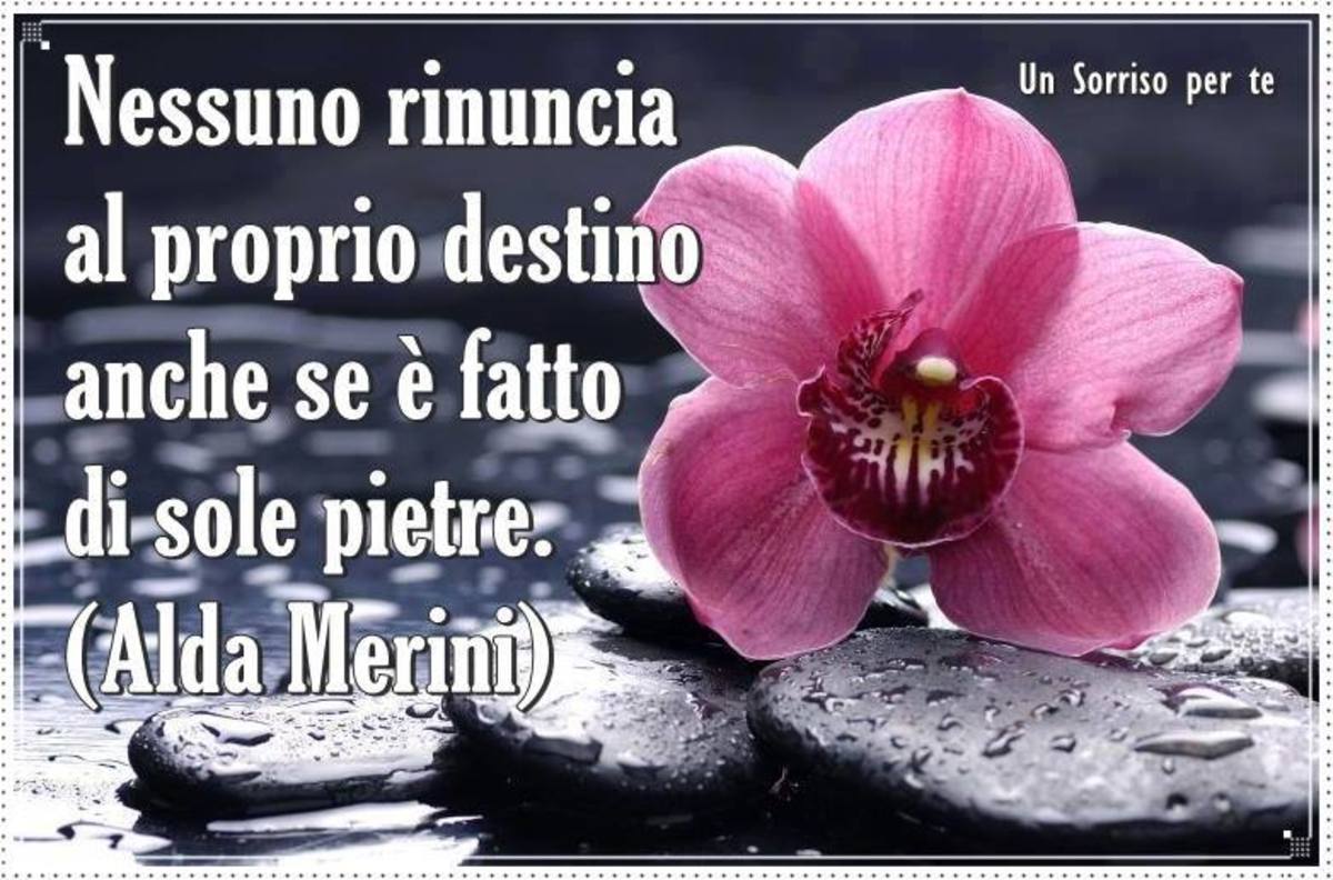 Nessuno rinuncia al proprio destino anche se è fatto di sole pietre (Alda Merini)