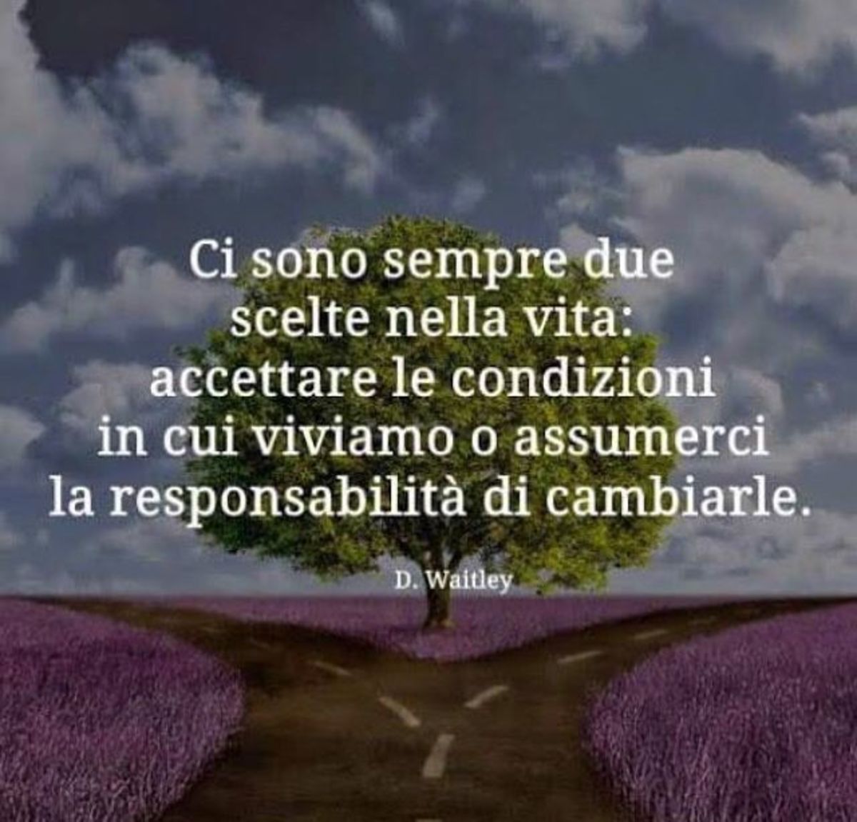 Ci sono sempre due scelte nella vita: accettare le condizioni in cui viviamo o assumerci la responsabilità di cambiarle.
