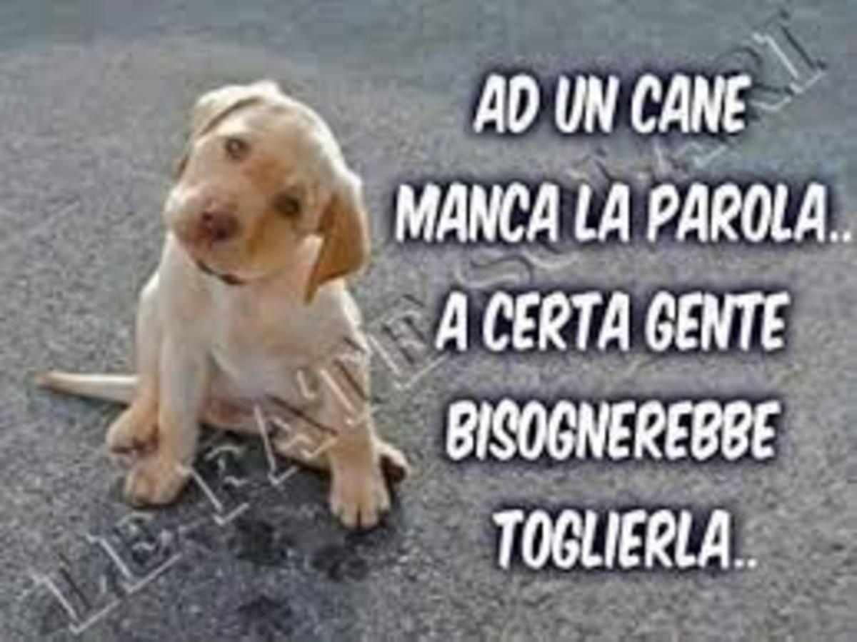 Ad un cane manca la parola... a certa gente bisognerebbe toglierla!