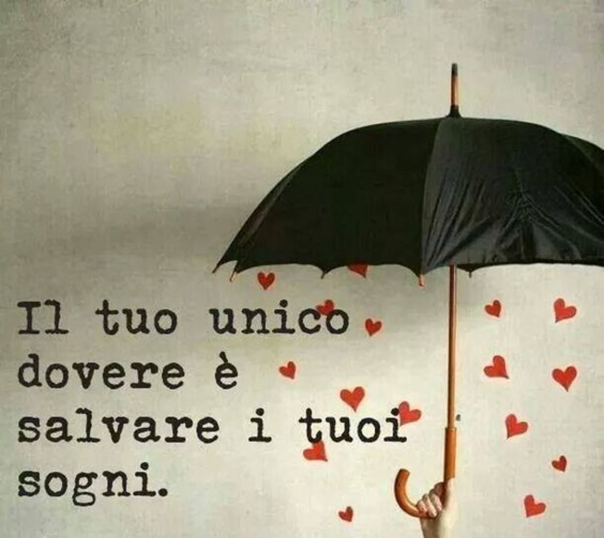 Il tuo unico dovere è salvare i tuoi sogni.