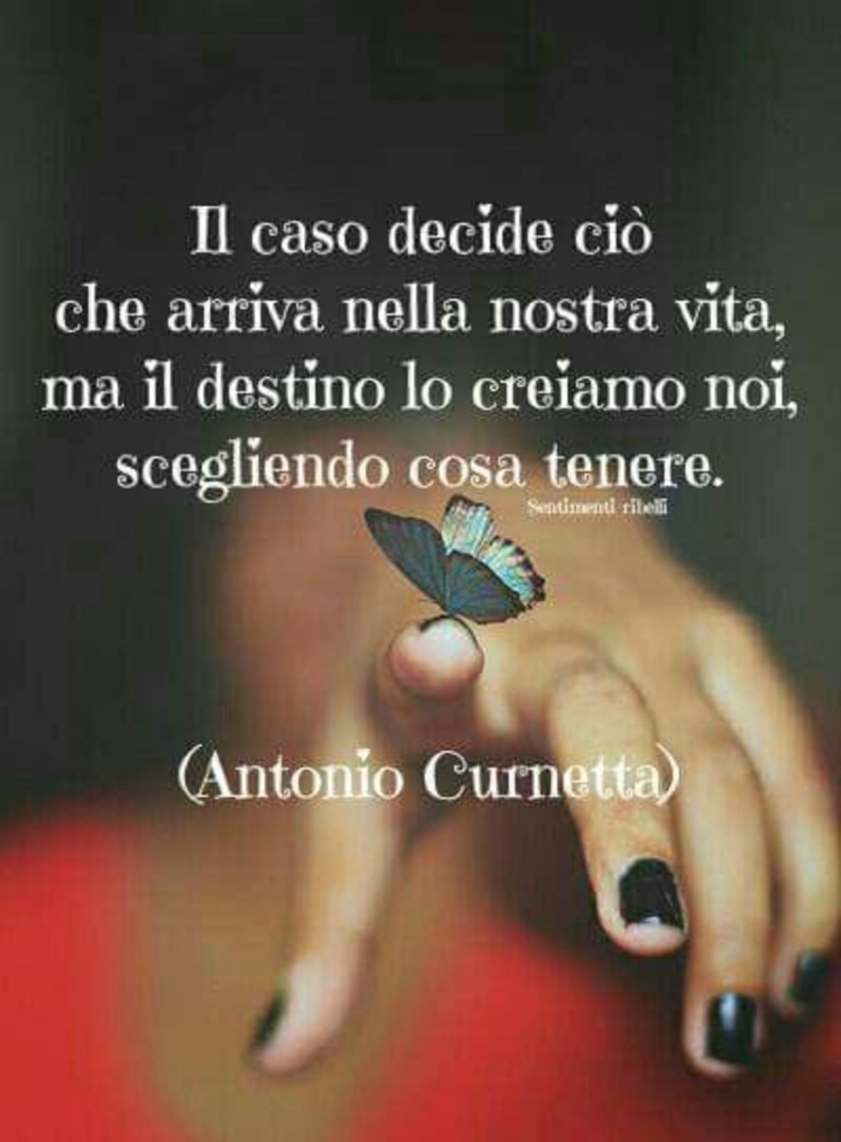 Il caso decide ciò che arriva nella nostra vita, ma il destino lo creiamo noi, scegliendo cosa tenere. Antonio Curnetta