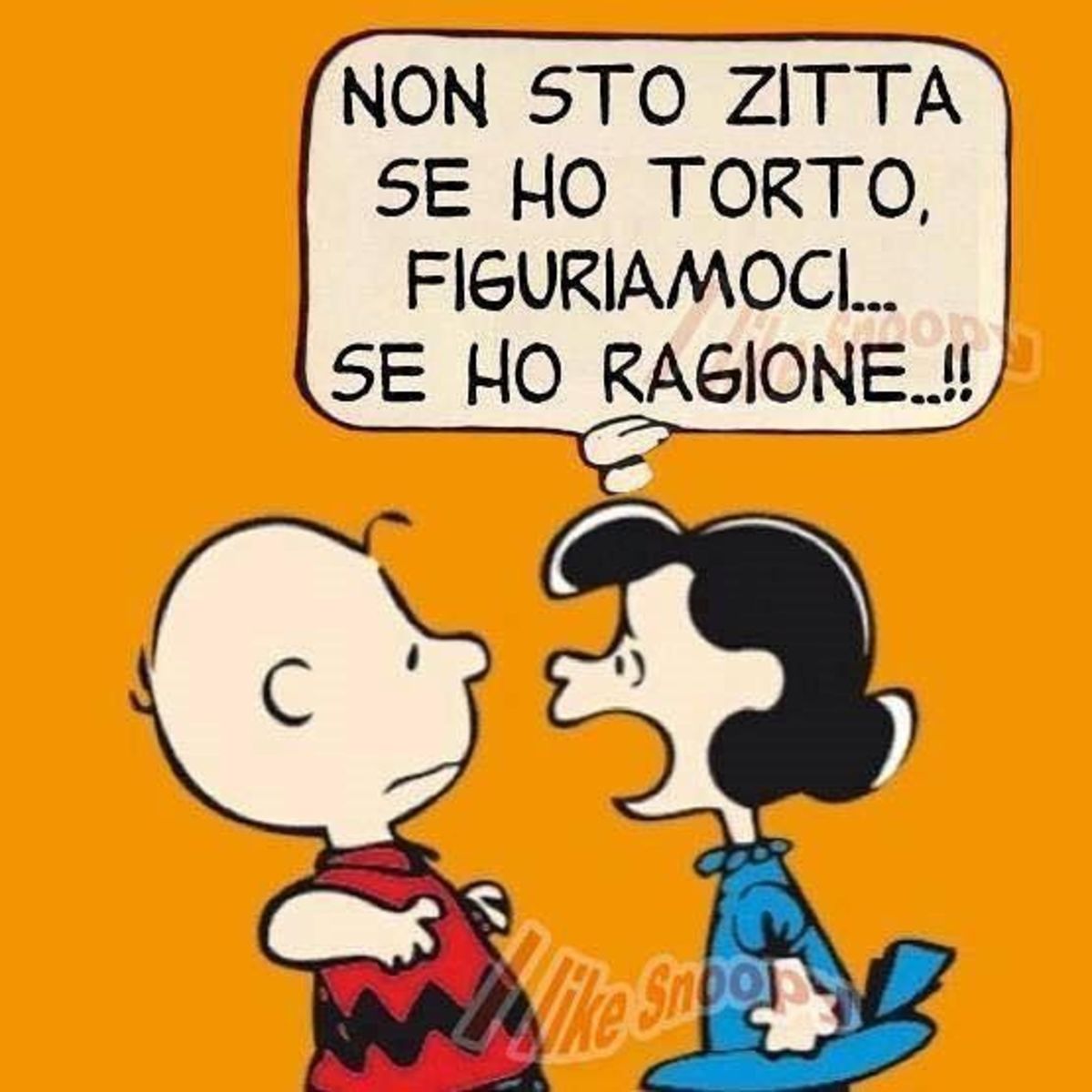 Non sto zitta se ho torto, figuriamoci... se ho ragione !!