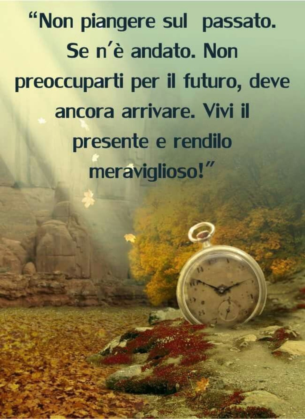 Non piangere sul passato, se n'è andato.. Non preoccuparti per il futuro, deve ancora arrivare. Vivi il presente e rendilo meraviglioso!