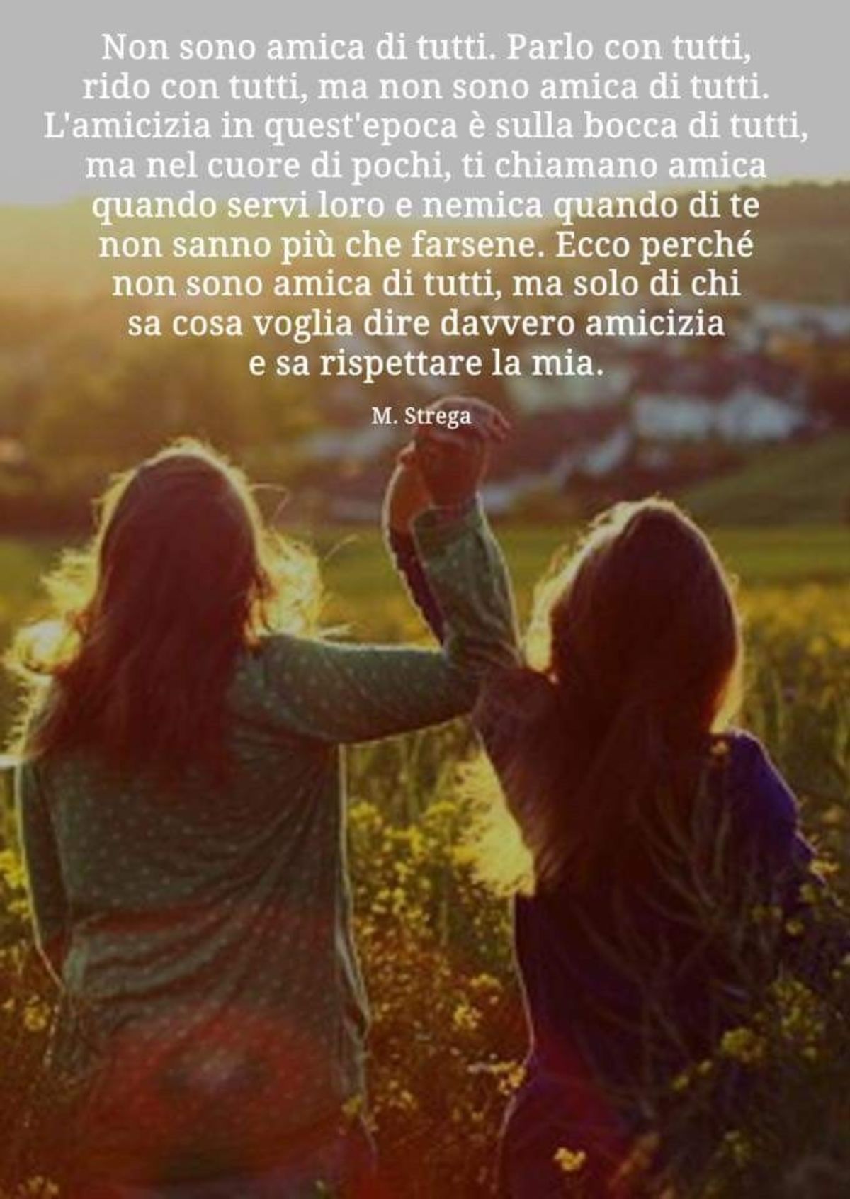 Belle frasi sull'amicizia