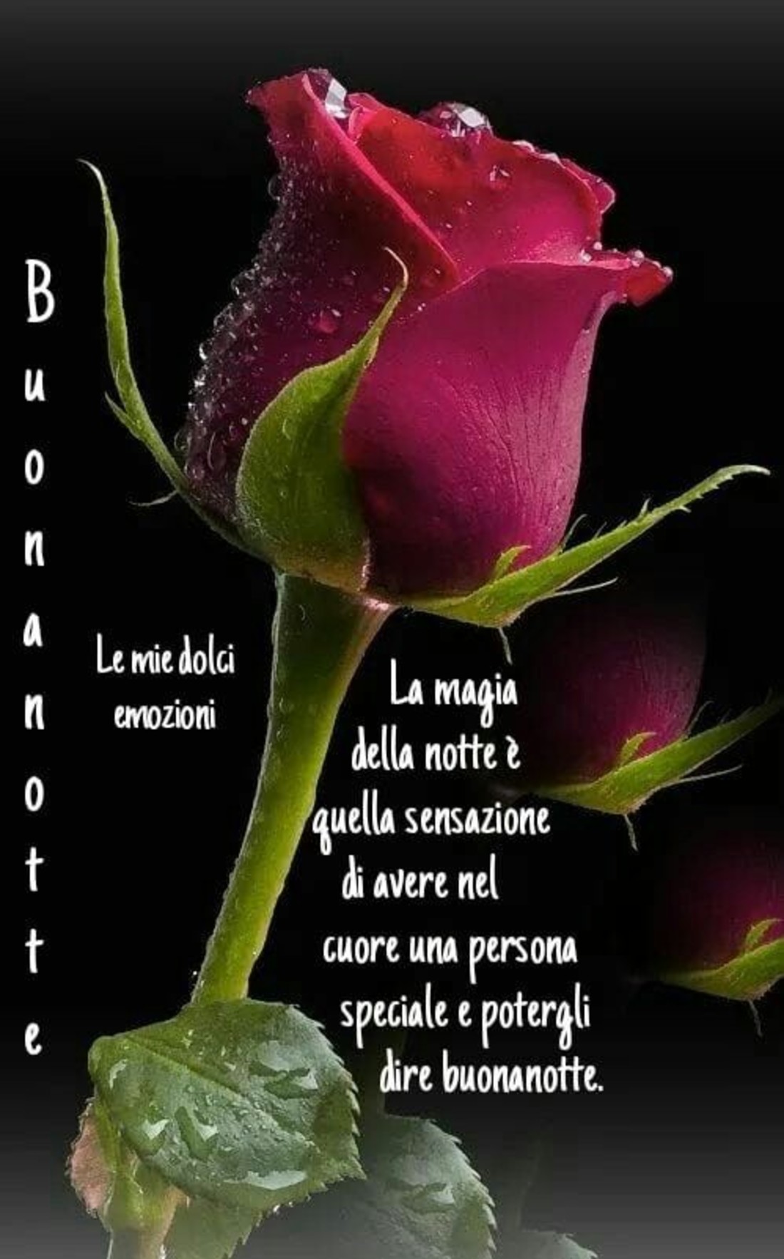 Buonanotte romantica